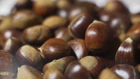 Chestnut Video stock 102825661