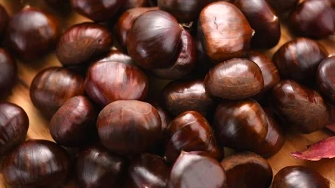 Chestnut, Fresh sweet chestnuts background, top view. Thanksgiving day Stock Footage 319033260