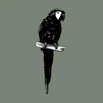 Chestnut-fronted macaw. Green macaw graphic illustration. Realistic bird Stock Illustration