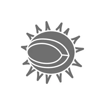 Chestnut grey icon. Isolated on white background Stock Illustration