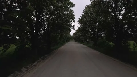 Chestnut grove in the middle of the road Stock Footage 196136407