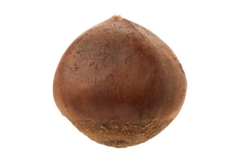 Chestnut isolated Stock Photos
