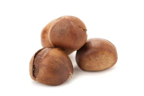 Chestnut isolated Stock Photos