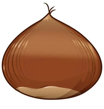 Chestnut isolated on white background Ilustración de archivo