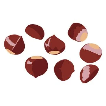 Chestnut isolated on white background Stock Illustration