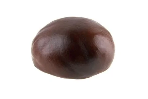 Chestnut isolated on white background Stock Photos