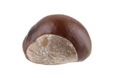 Chestnut isolated on white background Stock Photos