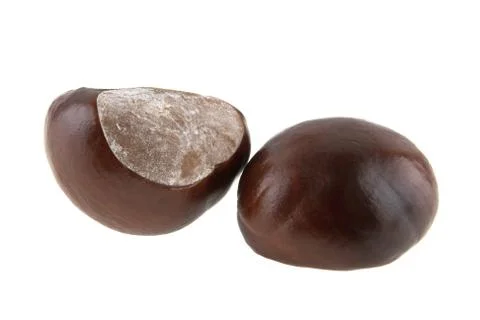 Chestnut isolated on white background Stock-Fotos