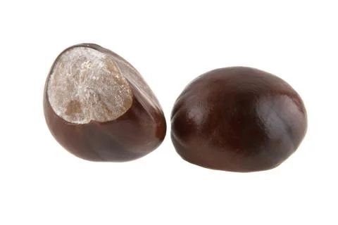 Chestnut isolated on white background Stock Photos