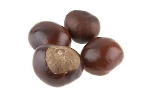 Chestnut isolated on white background Stock Photos