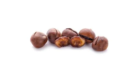 Chestnut isolated on white background Foto stock