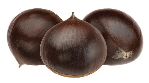 Chestnut isolated on white background Foto stock