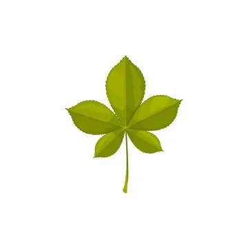 Chestnut leaf, autumn and fall tree leaves icon Stock Illustration