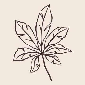Chestnut Leaf with Pointed Leaflets and Long Curved Stem. Hand Drawn Doodle.. Stock Illustration