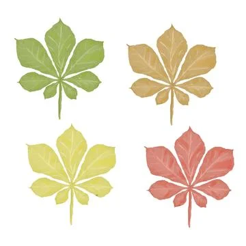 Chestnut leaf vector collection Stock Illustration