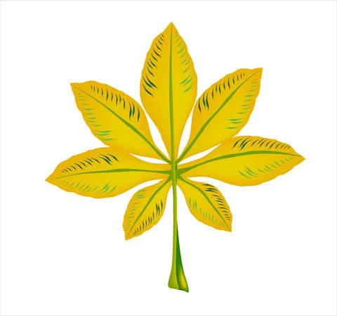 Chestnut leave autumn Stock Illustration