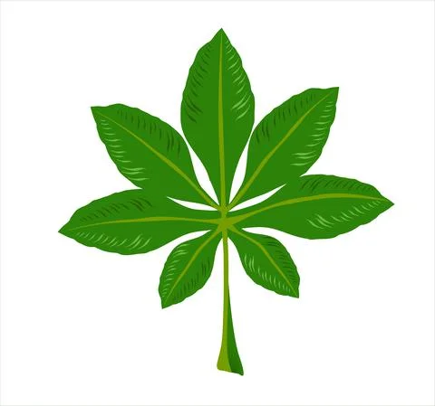 Chestnut leave Stock Illustration