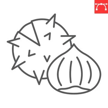 Chestnut line icon 스톡 일러스트