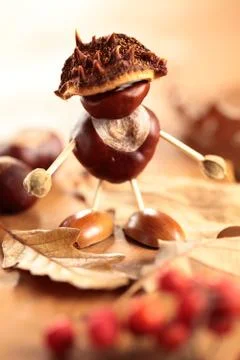 Chestnut man Stock Photos
