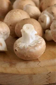 Chestnut mushrooms Foto stock