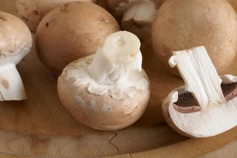 Chestnut mushrooms Stock Photos
