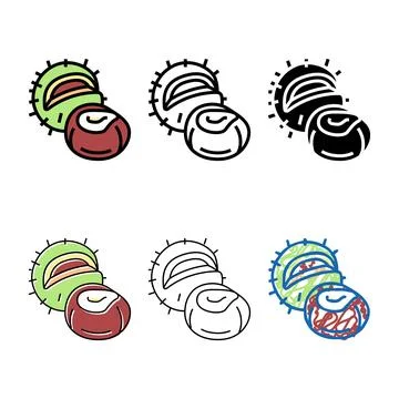 Chestnut nut color icon forms vector Stock Illustration