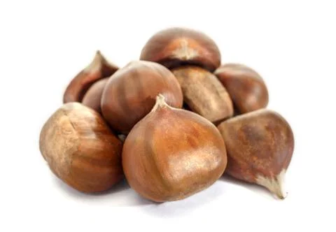 Chestnut nut. raw nut in the shell. Isolated on white background. Raw chestnu Stock Photos