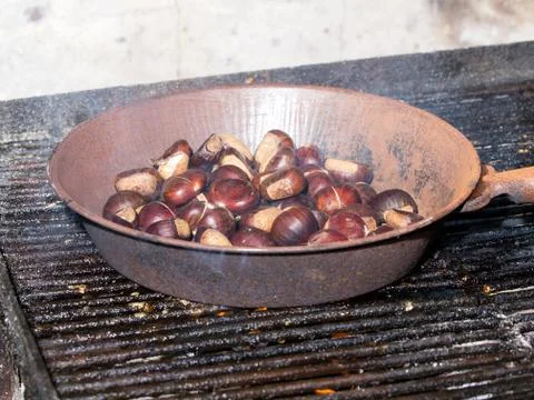 Chestnut Stock Photos