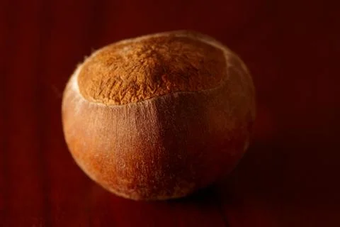 Chestnut Stock Photos