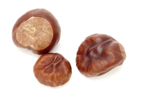 Chestnut Stock Photos