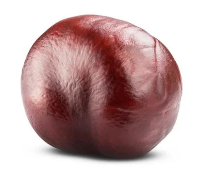 Chestnut Stock Photos