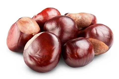 Chestnut Stock Photos