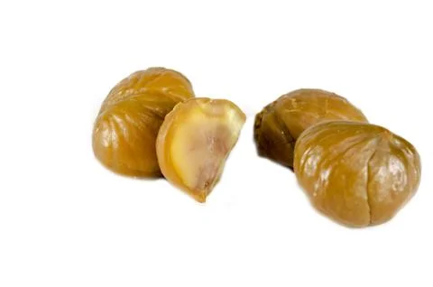 Chestnut Stock Photos
