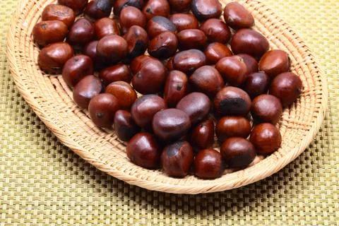 Chestnut Stock Photos