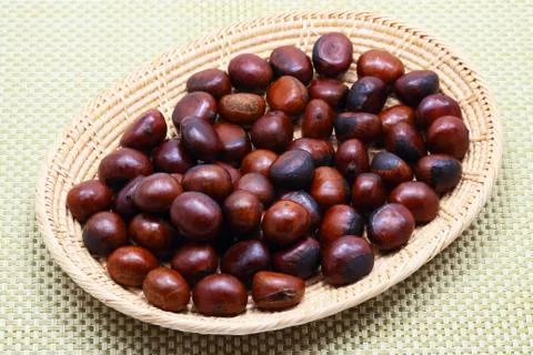 Chestnut Stock Photos
