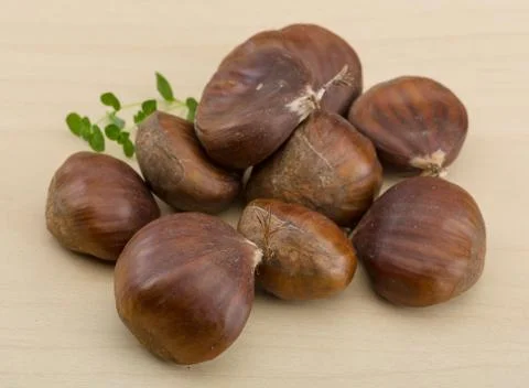 Chestnut Stock Photos