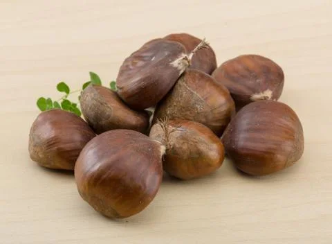 Chestnut Stock Photos