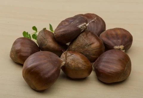 Chestnut Stock Photos
