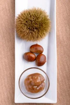 Chestnut Stock Photos