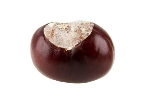 Chestnut Stock Photos