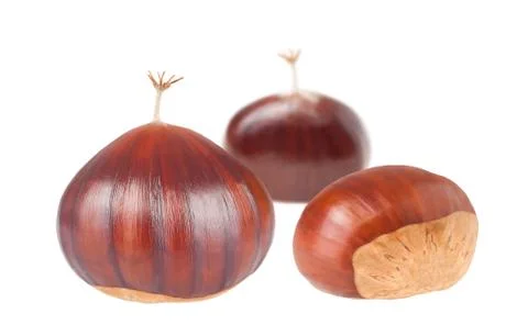 Chestnut Stock Photos