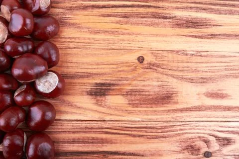 Chestnut Stock Photos