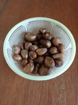 Chestnut Stock Photos