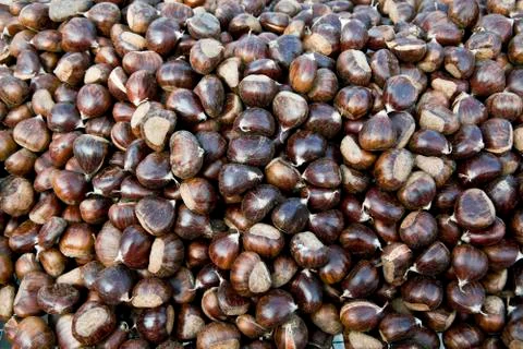 Chestnut pile Stock Photos