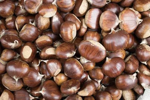 Chestnut Pile Texture Background Stock Photos