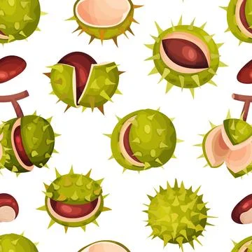 Chestnut Plant Seamless Pattern Design with Brown Fruit in Green Spiky Husk Stock Illustration