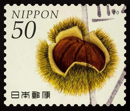 Chestnut on postage stamp Stock Photos