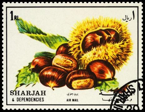 Chestnut on postage stamp Stock Photos