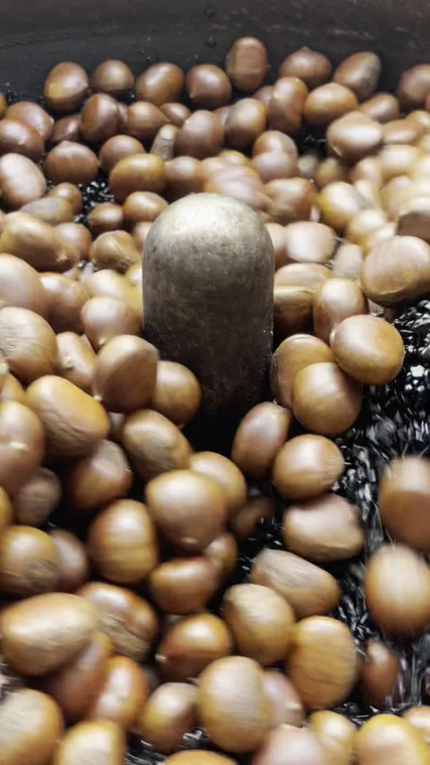 Chestnut roasting process Stock Footage 283816546