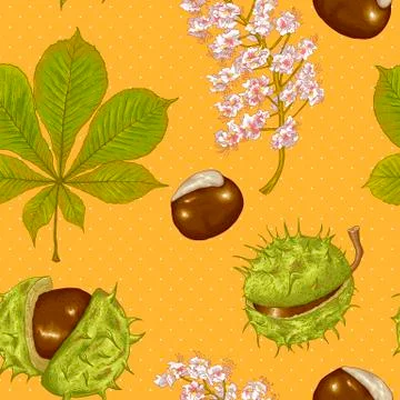 Chestnut Seamless Background Stock Illustration